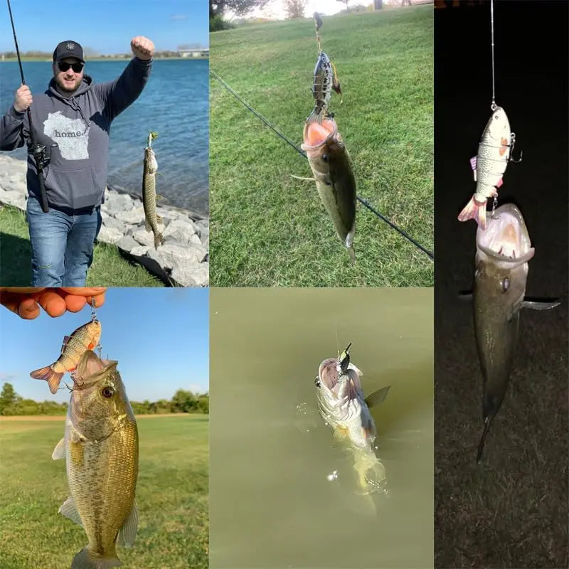 Ledade Swimbaits – Lifelike Fiskedrag för Gädda, Gös & Abborre