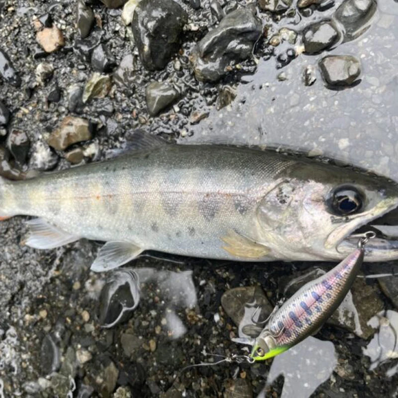 Fiskedrag Wobblers – Realistiska Swimbaits för Gädda, Gös & Abborre